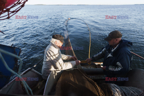 Fińscy rybacy boją się o swoją pracę z powodu zanieczyszczenia Bałtyku
