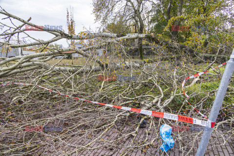 Orkan Ciaran uderza w Europę