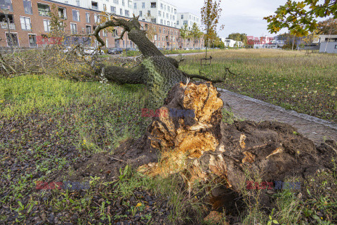 Orkan Ciaran uderza w Europę