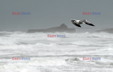 Orkan Ciaran uderza w Europę