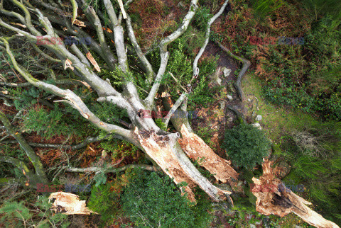 Orkan Ciaran uderza w Europę