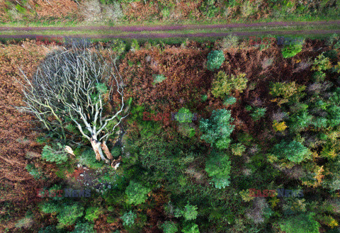 Orkan Ciaran uderza w Europę
