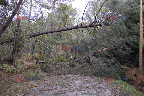 Orkan Ciaran uderza w Europę