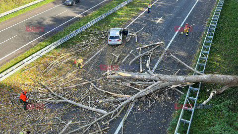 Orkan Ciaran uderza w Europę