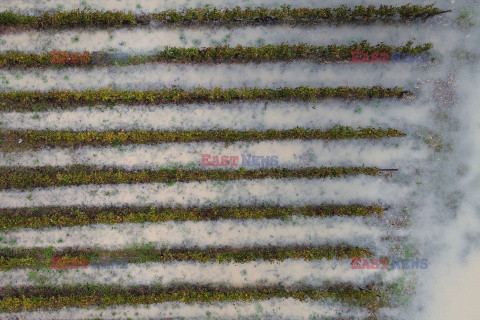 Orkan Ciaran uderza w Europę