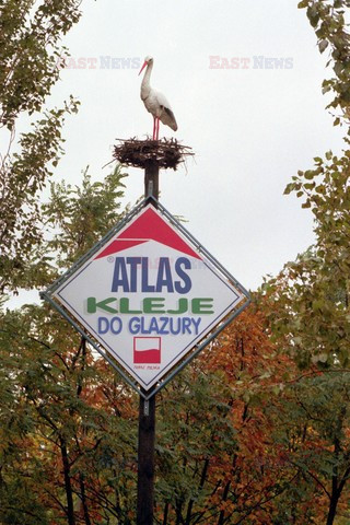 Reporter Poland 2002