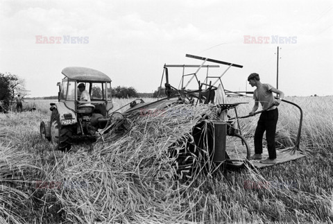 Reporter Poland 2002