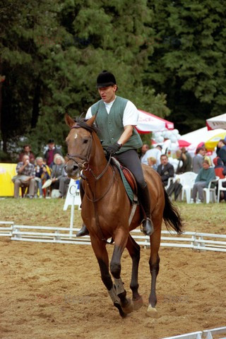 Reporter Poland 2002