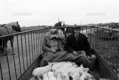 Reporter Poland 2002