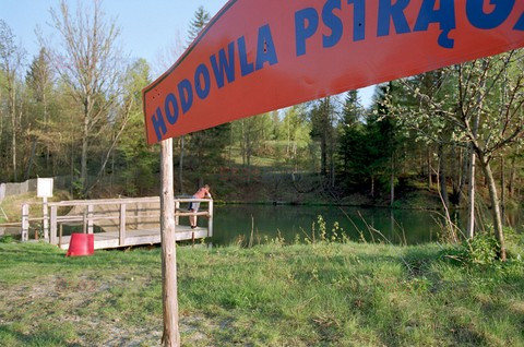 Reporter Poland 2002