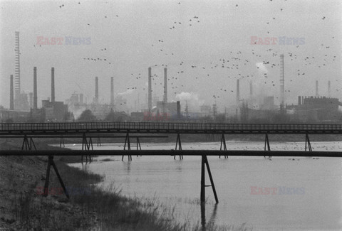 Reporter Poland 2002