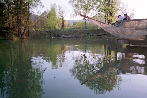 Reporter Poland 2002