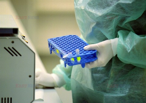 Reporter Poland 2002