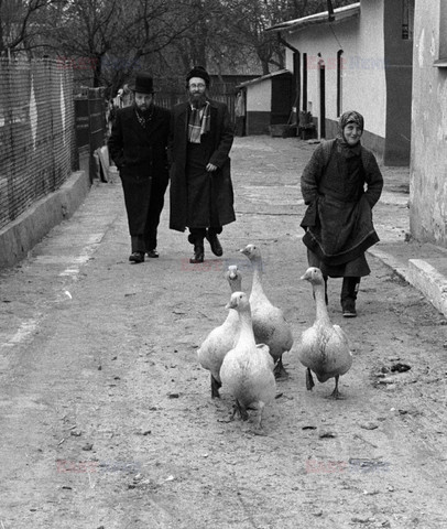 Reporter Poland 2002