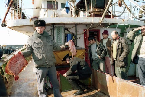 Reporter Poland 2002