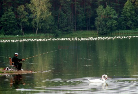 Reporter Poland 2002