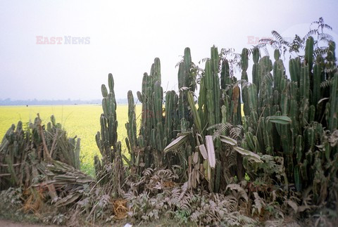 Reporter Poland 2002