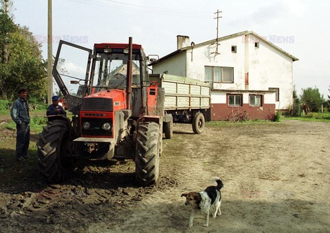 Reporter Poland 2002