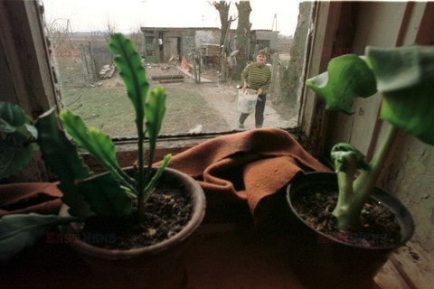 Reporter Poland 2002