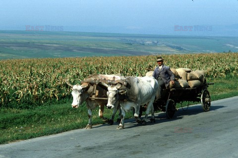 Reporter Poland 2002