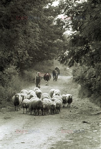 Reporter Poland 2002