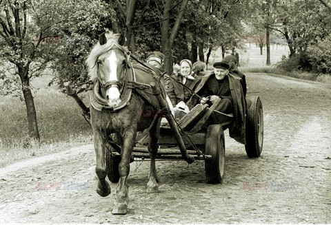 Reporter Poland 2002