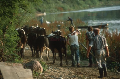 Reporter Poland 2002