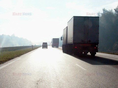 Reporter Poland 2002