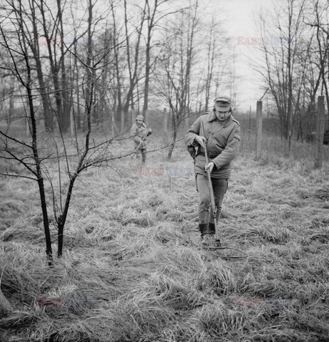 Reporter Poland 2004