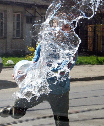 Reporter Poland 2004