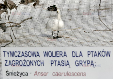 Reporter Poland 2006