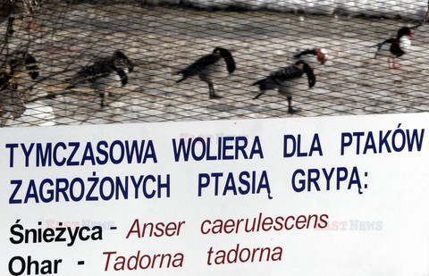 Reporter Poland 2006
