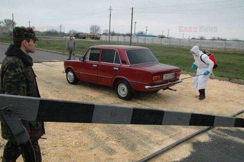 Reporter Poland 2006