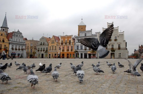 Reporter Poland 2008