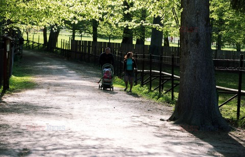 Reporter Poland 2009