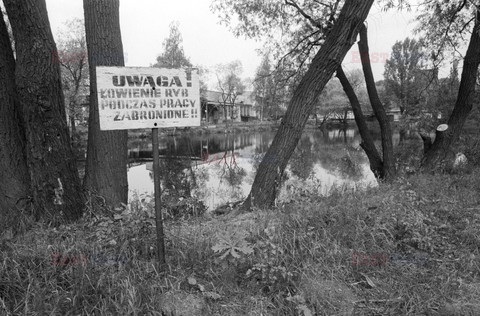 Fotonova 2006