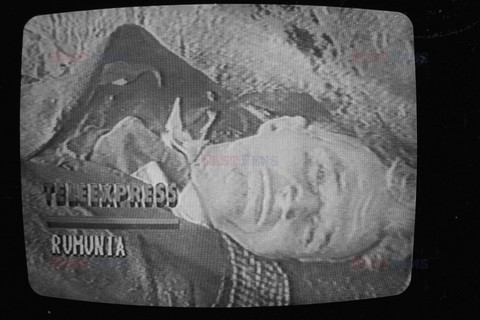 Fotonova 2006
