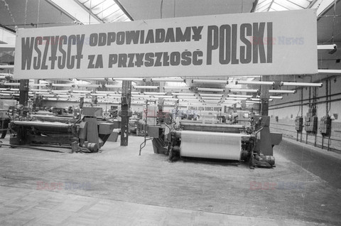 Fotonova 2006