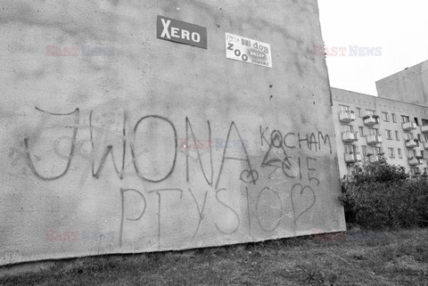 Fotonova 2006