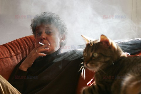 Fotonova 2006