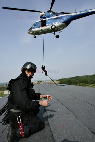 Fotonova 2006