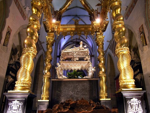 Fotonova 2008