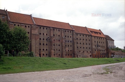 Fotonova 2008