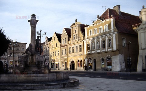 Fotonova 2008
