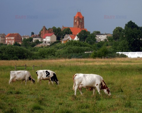 Fotonova 2008