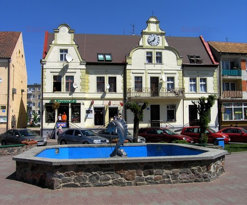 Fotonova 2008