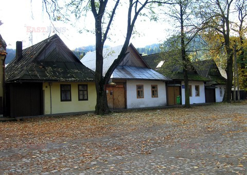 Fotonova 2008