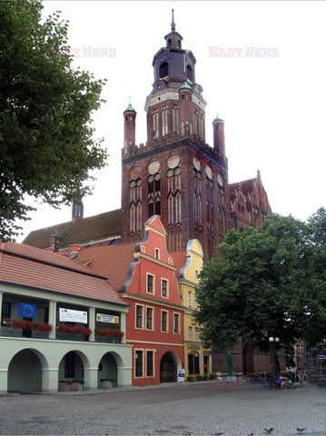 Fotonova 2008