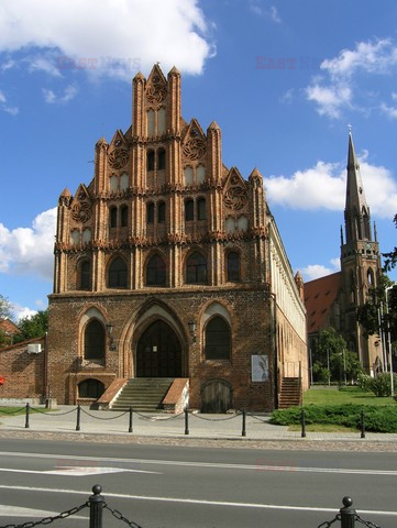 Fotonova 2008