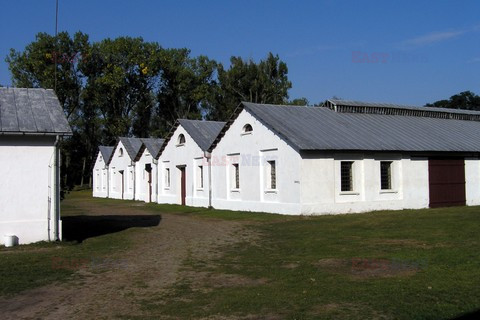 Fotonova 2008